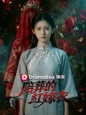 陪葬的红嫁衣